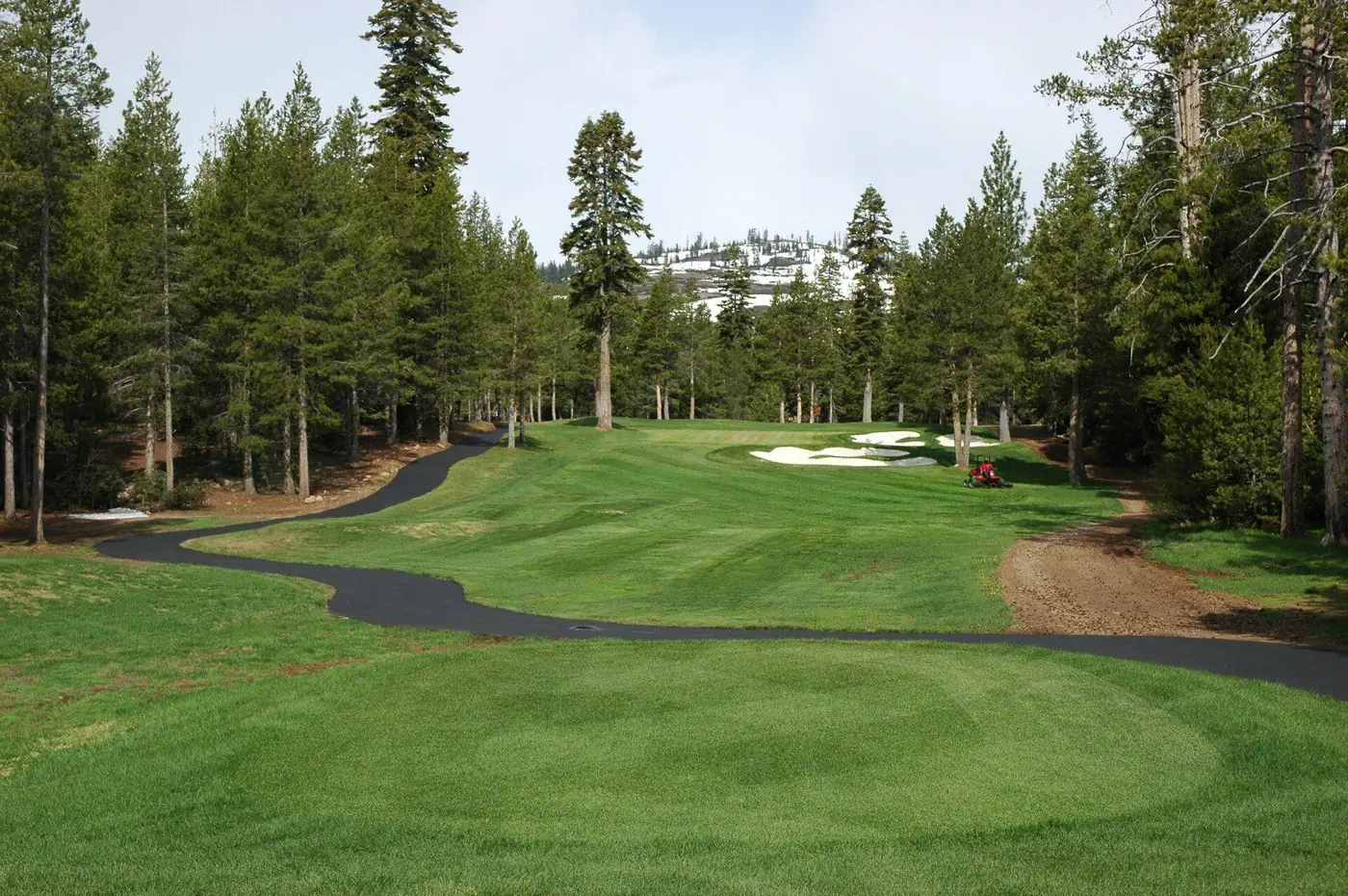 A freshly sealcoated asphalt cart path winding through a Truckee golf course.